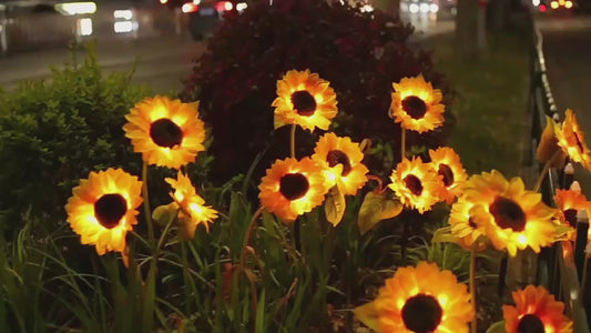 Lámpara solar de Girasol Pack de 2 UND