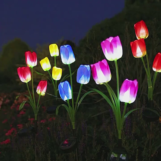 Lámparas solares de Tulipanes Pack de 2 UND